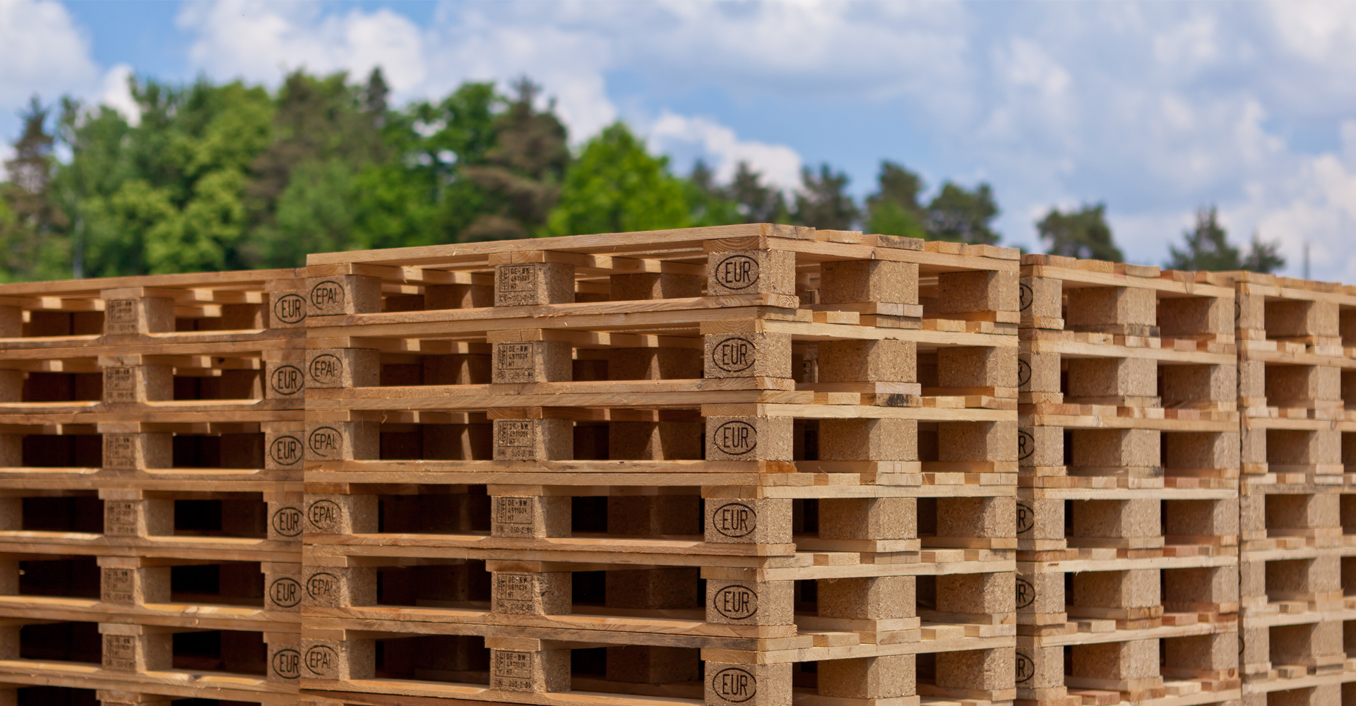 Palettes certifiées ISPM15 empilées – robustes et fiables pour le transport et l’export